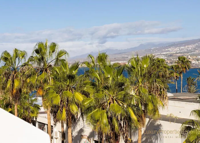 Ocean بلايا ذي لاس أميريكاس